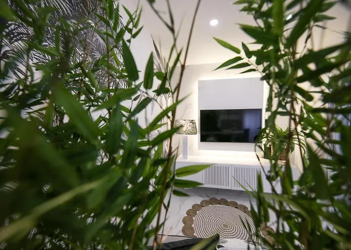 Dina House Avo Mariana Nazare