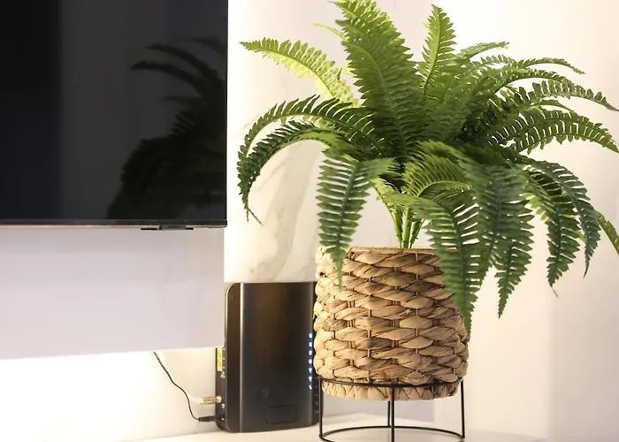 Dina House Avo Mariana Daire *